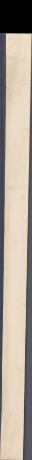 European Spruce, 13.2600
