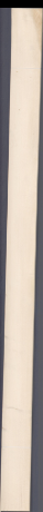 European Spruce, 16.5600