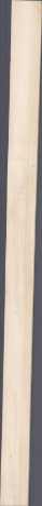 European Spruce, 15.9600