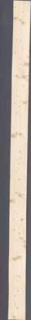 Świerk sękaty, 22,1760