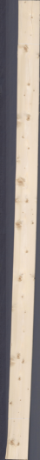 Świerk sękaty, 11,1720