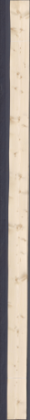 Смърч с чепове, 19,1520