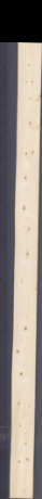 Świerk sękaty, 13,1670
