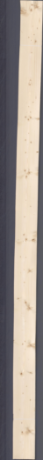 Świerk sękaty, 19,1520