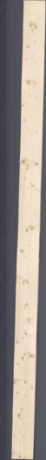 Molid cu noduri, 19,1520