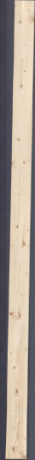 Świerk sękaty, 18,1440