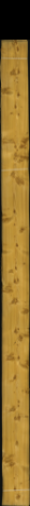 Knotty Spruce Antique, 19.0080