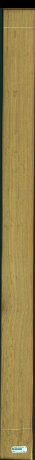 Chlorophora Excelsa, 15,5040