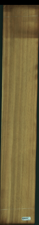 Iroko, 9,2160