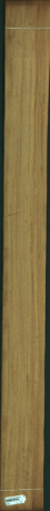 Iroko, 7,6500