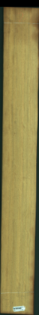 Iroko, 18,8160