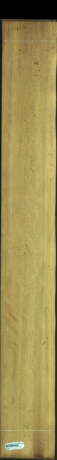 Iroko, 19,2000