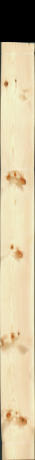 borovice sukatá, 29,2096