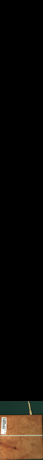 Мадрона коренище, 1,1592