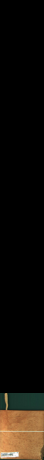 madrona kořenice, 1,8564