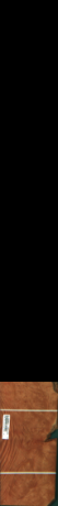 Madrona radacina, 2,1600