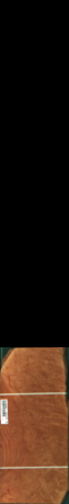 Мадрона коренище, 3,1464