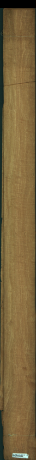 Нигерийско сатенено дърво, 15,1040