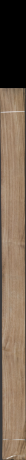 Orech americký, 12,1856