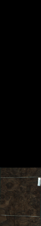 Orech korenica, 1,9800