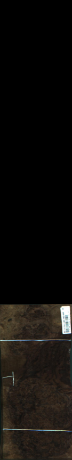 Orech korenica, 2,1600