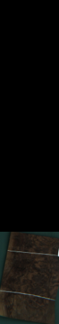 Orech korenica, 2,7216