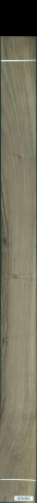 Oreh z beljavo, 14,1440