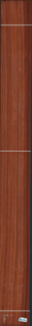 Pterocarpus Soyauxii, 7,2360
