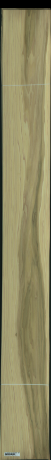 Populus Balsamifera, 27,3280