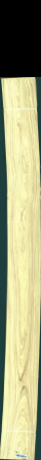 palisandr olivový, 13,2000