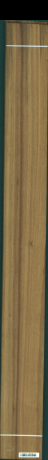 Teak, 9,7200