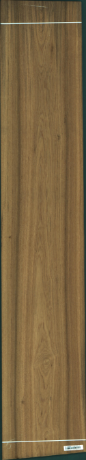 Teak, 20,8680