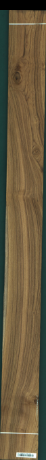 Teak, 9,5880