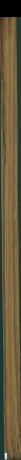 Teak, 1,4580