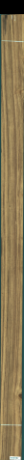 Teak, 11,0880