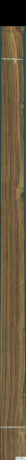 Teak, 13,2480