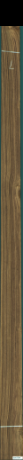 Teak, 11,5920