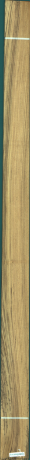 Teak, 9,2400