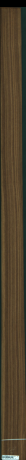 Teak, 7,8336