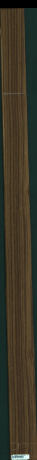 Teak, 8,0184