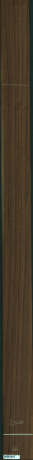 Teak, 11,3280