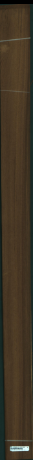 Teak, 8,6016