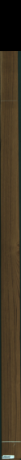 Teak, 12,8160