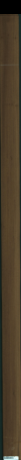 Teak, 9,5040