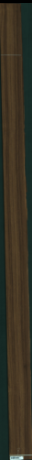 Teak, 13,8240