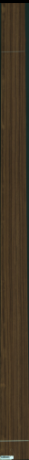 Teak, 16,4160