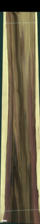 Дърво лале, 52,2000