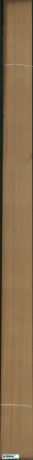 Кедър Западен червен, 2,8560