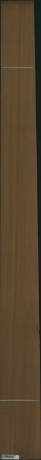 Cedr kanadyjski (czerowny), 3,1350