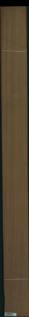 Кедър Западен червен, 3,2400
